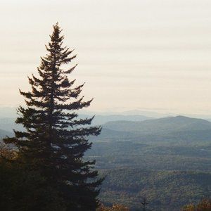 Meet your Posher, Bern